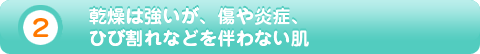 ２乾燥が強く、傷や炎症、ひび割れなどを伴わない肌