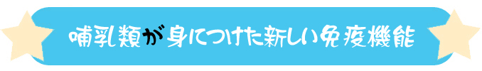 アトピーを治したいなら